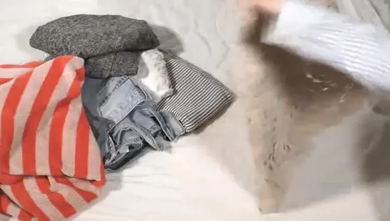 Ropa de cama duradera Mantas Organizador Caja de almacenamiento plegable Edredón Bolsas de lona grandes Bolsa de lavandería Cremallera transparente Bolsa de almacenamiento de ropa Ropa interior de mujer Bolsa de sujetador